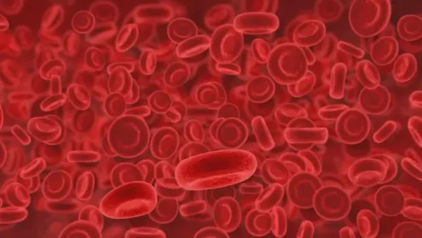 Bloodborne Pathogens Awareness Training